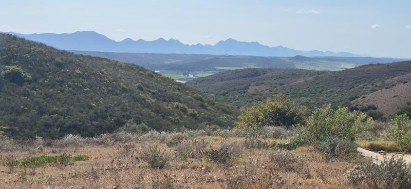 0 Bedroom Property for Sale in Outeniquasbosch Western Cape